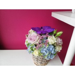 Montage camaïeux de mauve