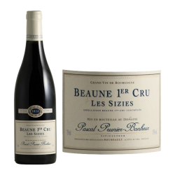 beaune 1 er Cru- les Sizies