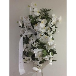 Couvre cercueil orchidée bl