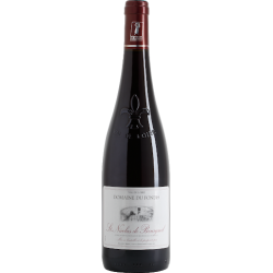 St Nicolas de Bourgueil-...