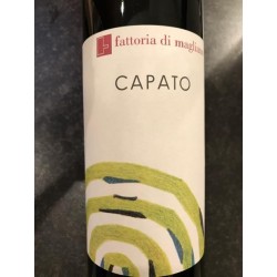 Capato Rosso- Maglino